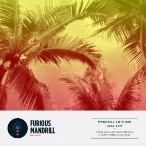 Lego Edit - Afro King (Lego Edit  Afrocut) (Original Mix)